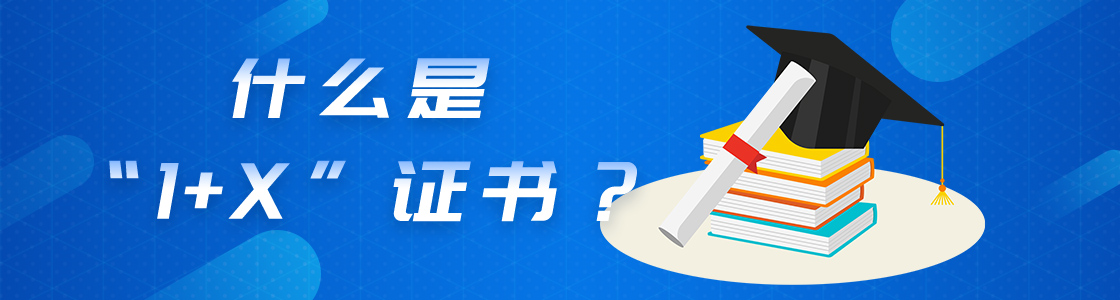 我国将启动1+X证书制度试点